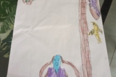 IMG_20200506_095336378