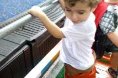 baile-de-carnaval_Ed.-Infantil_Escola-Experimental-70