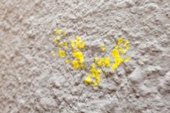 Despedida 5º Ano 2018