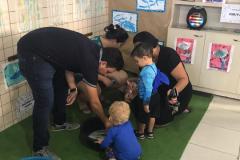 Feira-de-Conhecimentos_Ed.-Infantil_Escola-Experimental-105