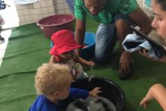 Feira-de-Conhecimentos_Ed.-Infantil_Escola-Experimental-113