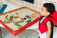 Feira-de-Conhecimentos_Ed.-Infantil_Escola-Experimental-44