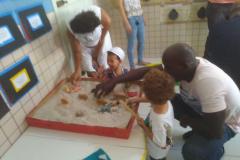 Feira-de-Conhecimentos_Ed.-Infantil_Escola-Experimental-50