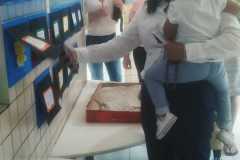 Feira-de-Conhecimentos_Ed.-Infantil_Escola-Experimental-72