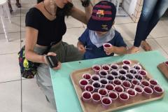 Feira-de-Conhecimentos_Ed.-Infantil_Escola-Experimental-88