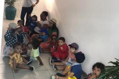 Feira-de-Conhecimentos_Ed.-Infantil_Escola-Experimental-90