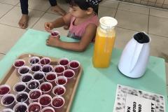 Feira-de-Conhecimentos_Ed.-Infantil_Escola-Experimental-91