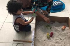 Feira-de-Conhecimentos_Ed.-Infantil_Escola-Experimental-94