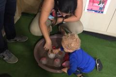 Feira-de-Conhecimentos_Ed.-Infantil_Escola-Experimental-97