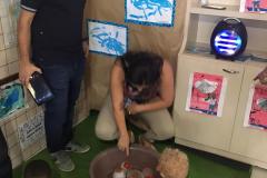 Feira-de-Conhecimentos_Ed.-Infantil_Escola-Experimental-98