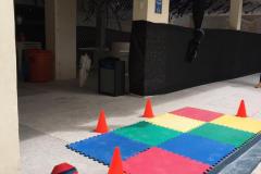 Semana-da-Criança-2019_Escola-Experimental_Salvador-10