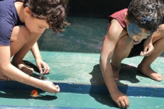 Semanda-da-Criança_Ens.-Fundamental_2019_-Escola-Experimental_Fund-216