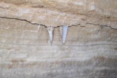 Viagem-a-Chapada-Diamantina_Estudo-das-Cavernas_5ºAno_Experimental-12