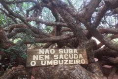 Viagem-a-Chapada-Diamantina_Estudo-das-Cavernas_5ºAno_Experimental-30