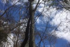 Viagem-a-Chapada-Diamantina_Estudo-das-Cavernas_5ºAno_Experimental-32