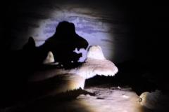 Viagem-a-Chapada-Diamantina_Estudo-das-Cavernas_5ºAno_Experimental-38